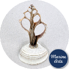 9630 - Sliced Shell - Trapezium Coral Fan
